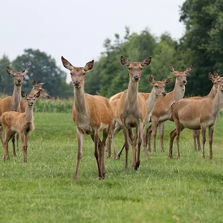 בית נופש Herterij Twente Geesteren (Overijssel)